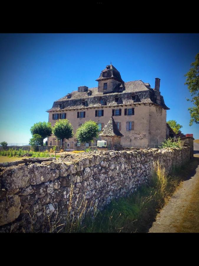 Chateau De Cours Sénezergues Εξωτερικό φωτογραφία